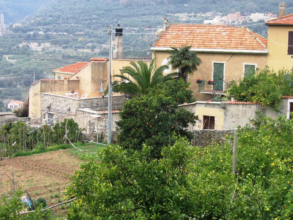 Agriturismo Barilaro ฟีนาเลลีกูเร ภายนอก รูปภาพ