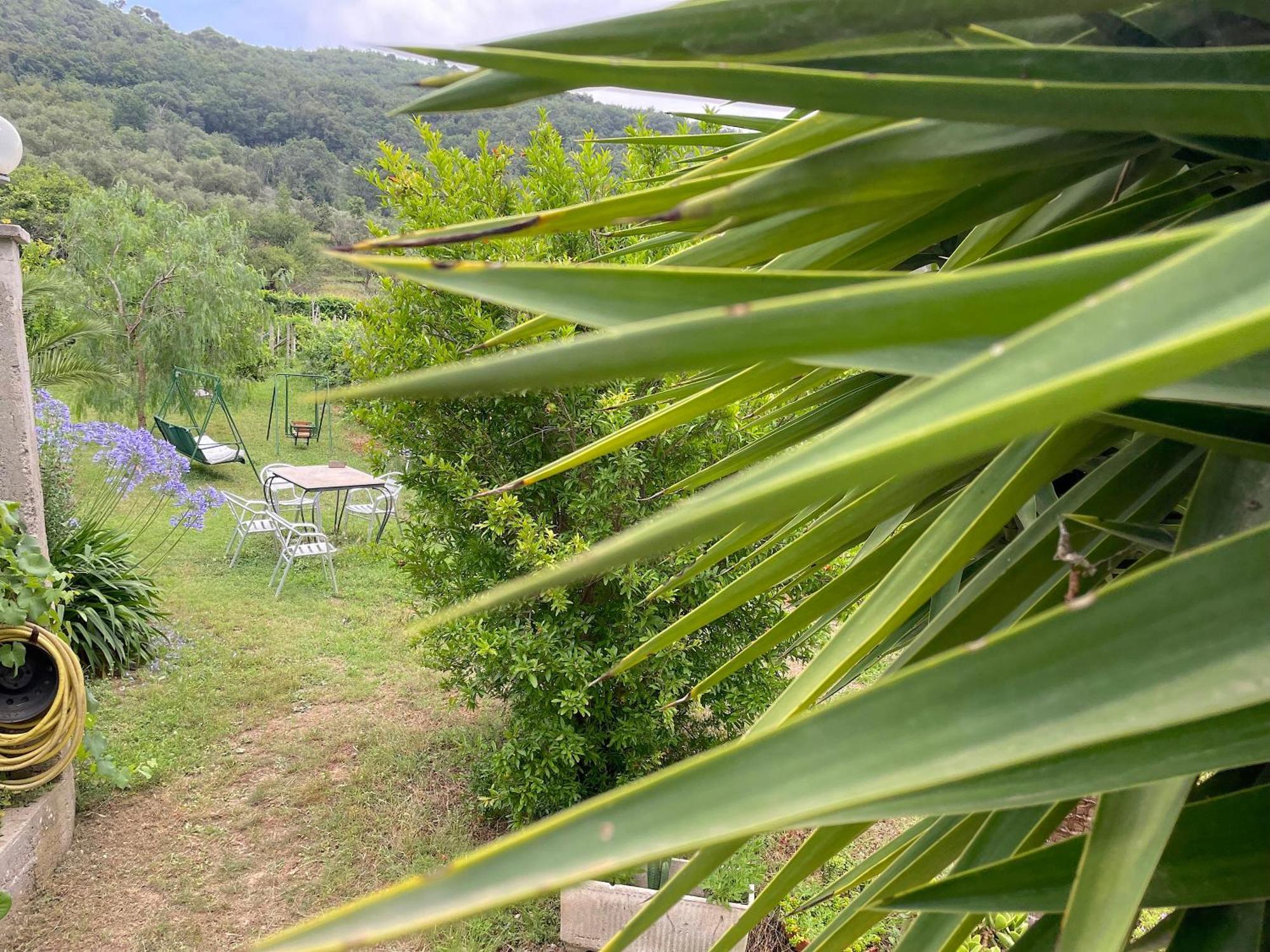 Agriturismo Barilaro ฟีนาเลลีกูเร ภายนอก รูปภาพ