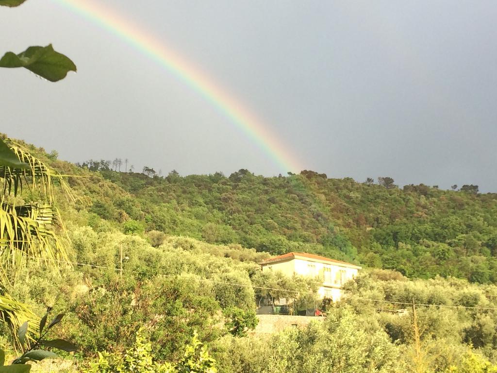 Agriturismo Barilaro ฟีนาเลลีกูเร ภายนอก รูปภาพ